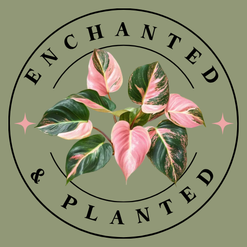 Enchanted & Planted logo