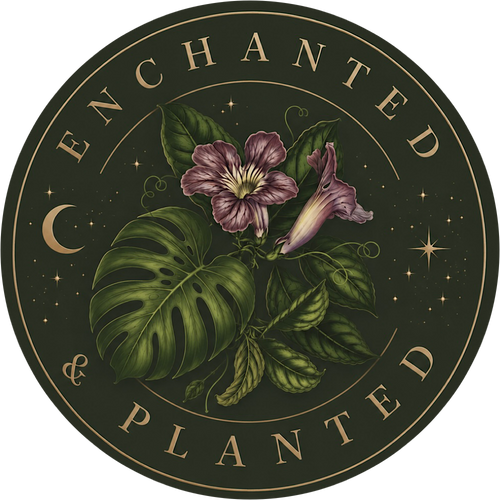 Enchanted & Planted