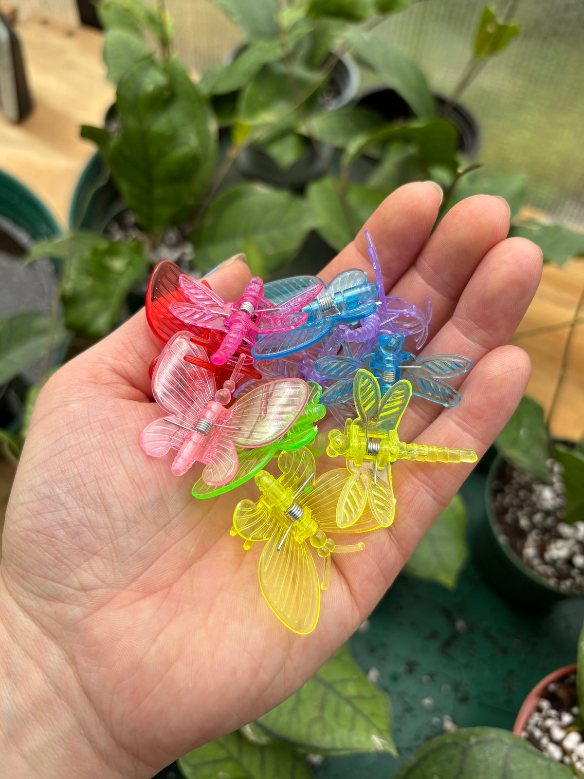 Butterfly & Dragonfly Plant Clips ($3 for 10 clips)