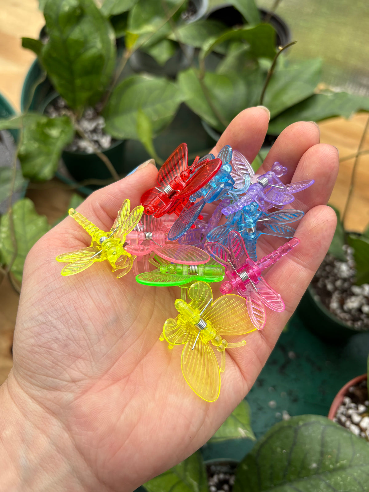 Butterfly & Dragonfly Plant Clips ($3 for 10 clips)