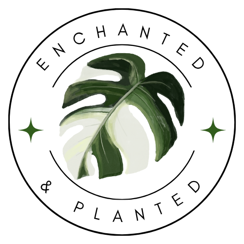 Enchanted & Planted